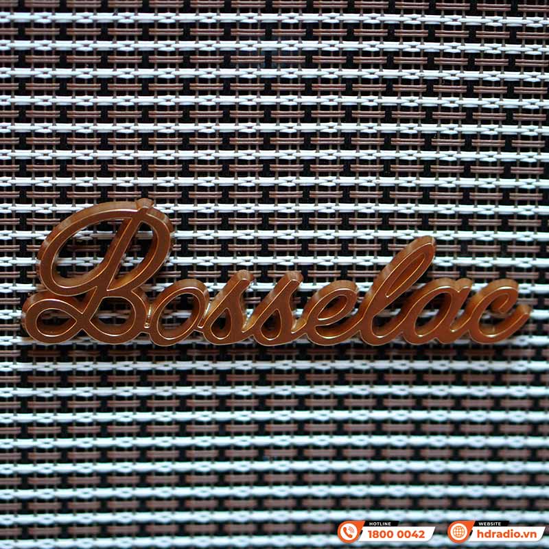 Loa Di Động BossElac SK668, Công Suất 120W, Pin 4-7 giờ, Bluetooth, AUX, USB, Kèm 2 Tay Mic-3