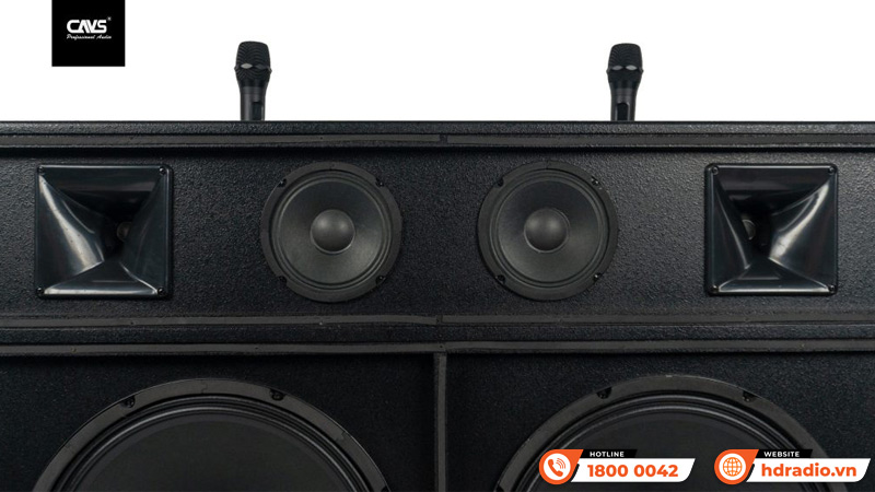 Âm thanh Loa CAVS PA218