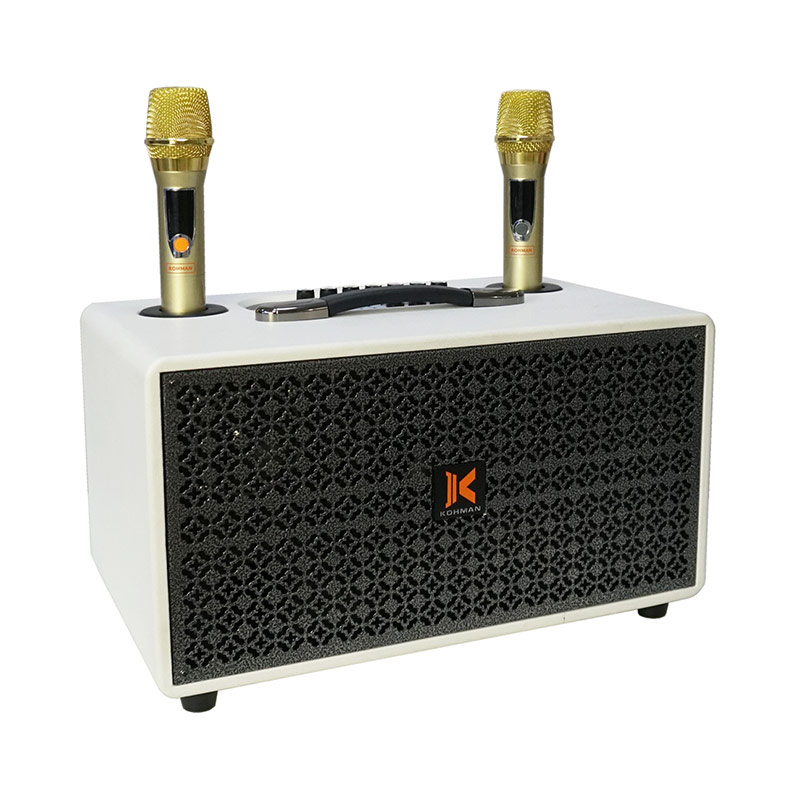 Loa Kohman X8