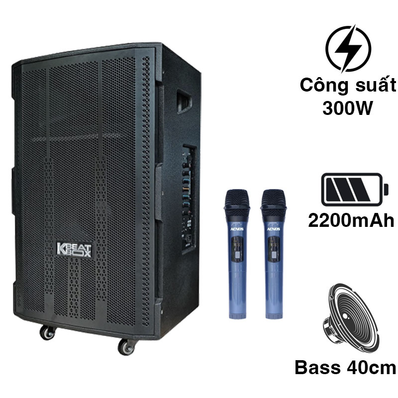 Loa Acnos CB4050G