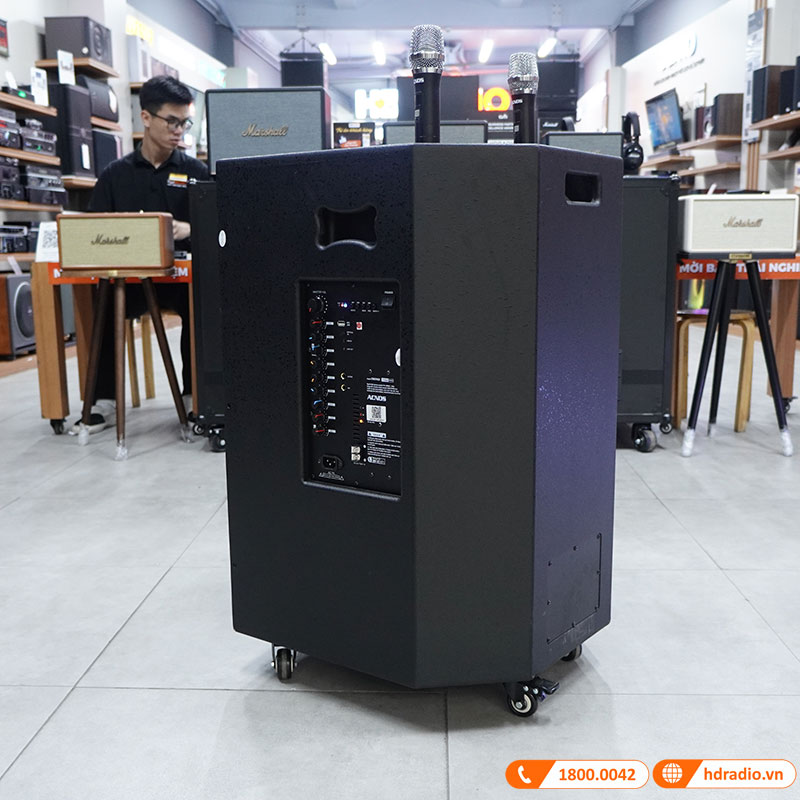 Loa kéo Acnos CB501GD-8