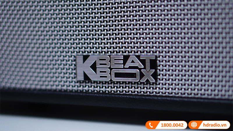 anh-loa-acnos-cs250pu-10