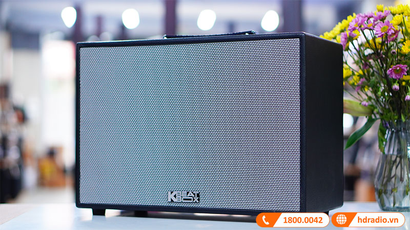 am thanh loa Acnos 251PU