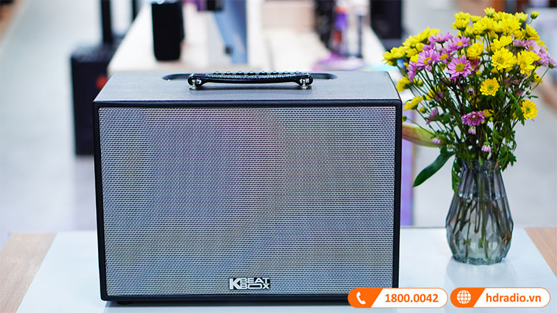 anh-loa-acnos-cs250pu-6