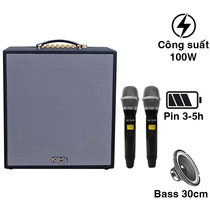 Loa Acnos CS300 NEW