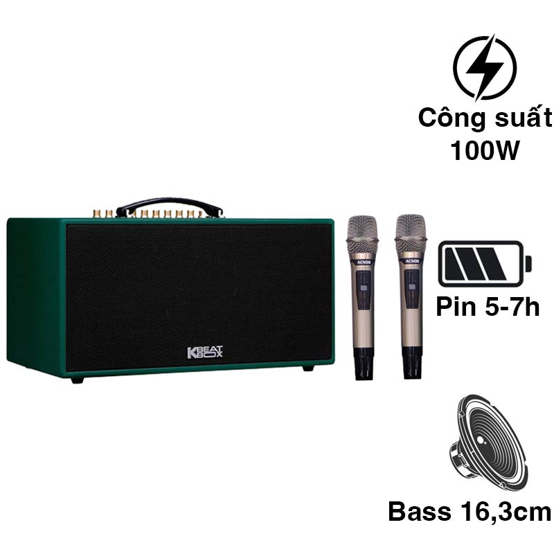 Loa Acnos CS445D