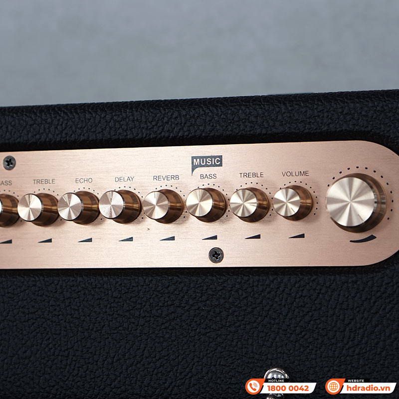 Loa Acnos CS451 Plus-11