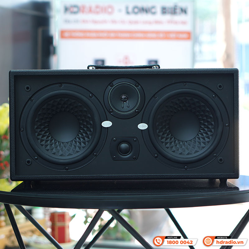 Loa Acnos CS451 Plus-6