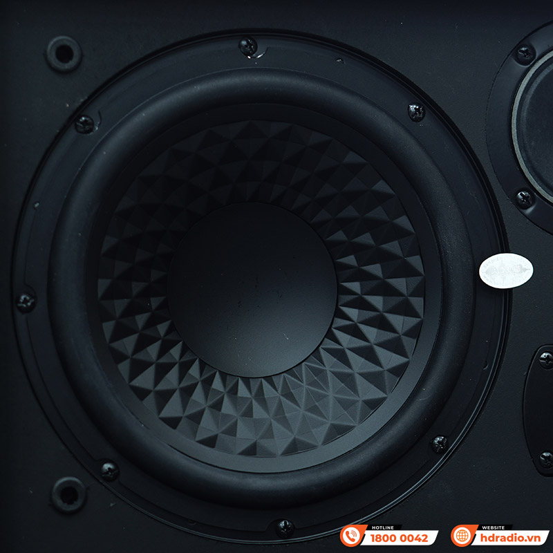 Loa Acnos CS451 Plus-8