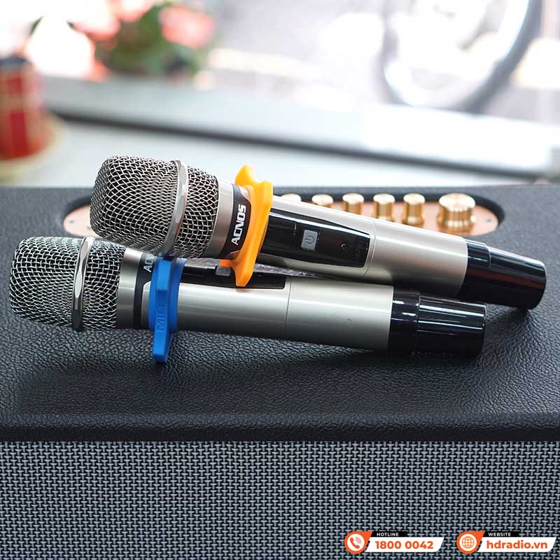 Loa Acnos CS451 Plus-5