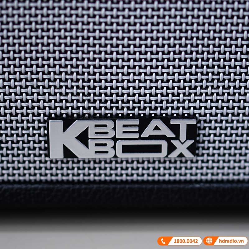 Loa Acnos CS551 Plus-6