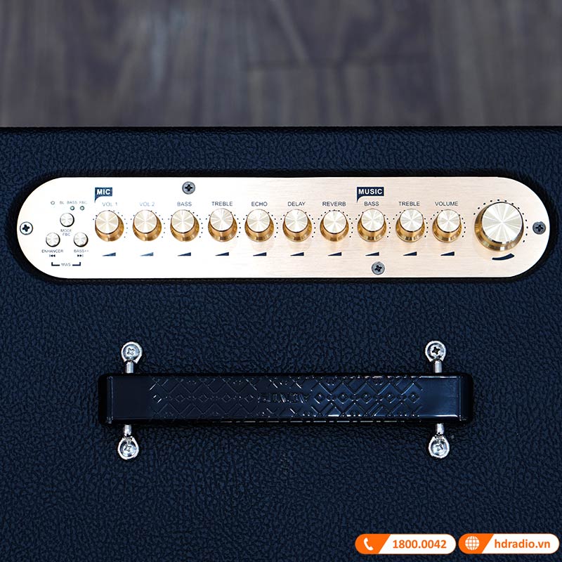 Loa Acnos CS551 Plus-9