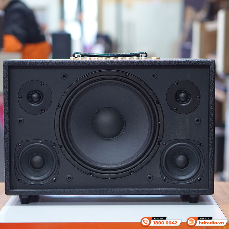 Loa Acnos HiNet 3600-8