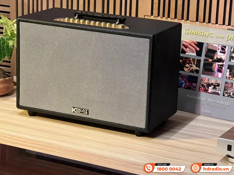 Loa Acnos HiNet 3600