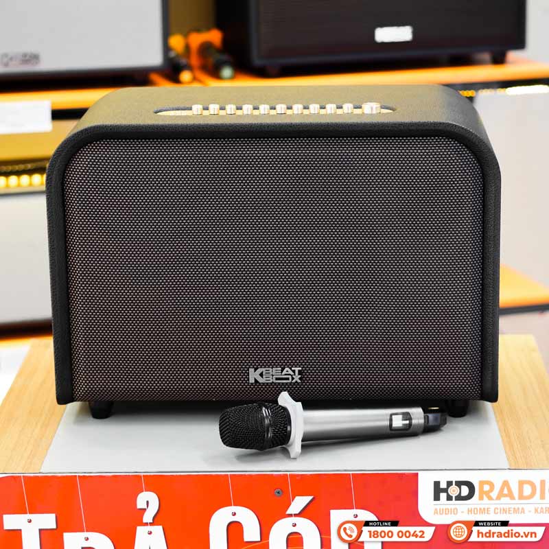 Loa Acnos Acoustic 3, Bass 25cm, Công suất 220W, Bluetootth, USB, Mic Wireless Stereo, 2 Micro-3