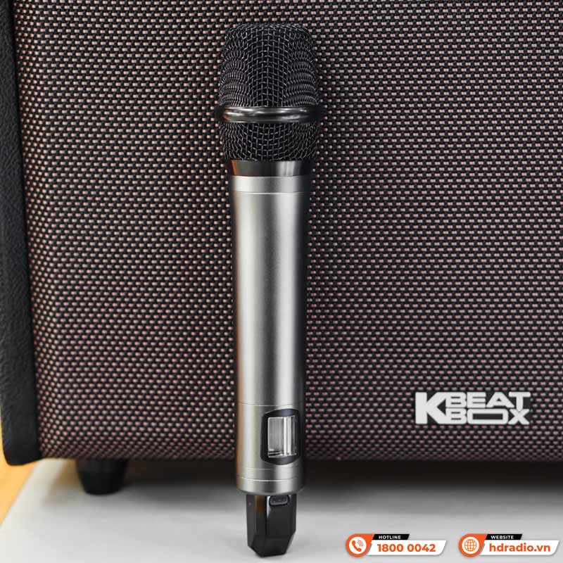 Loa Acnos Acoustic 3, Bass 25cm, Công suất 220W, Bluetootth, USB, Mic Wireless Stereo, 2 Micro-4