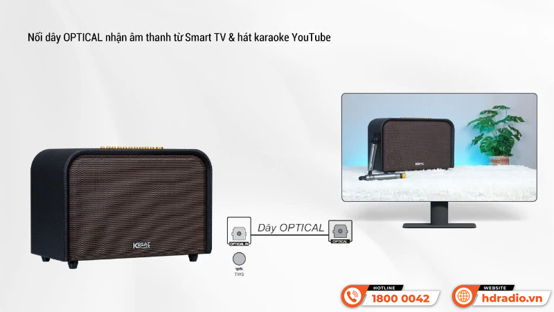 Loa Acnos Acoustic 3