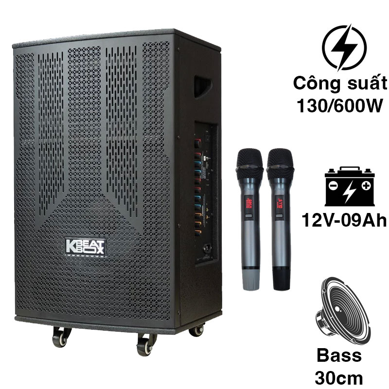 Loa Acnos CB303G