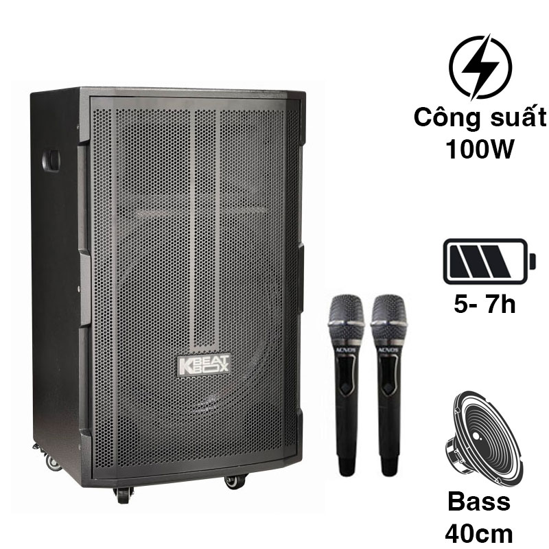 Loa Acnos CB391G