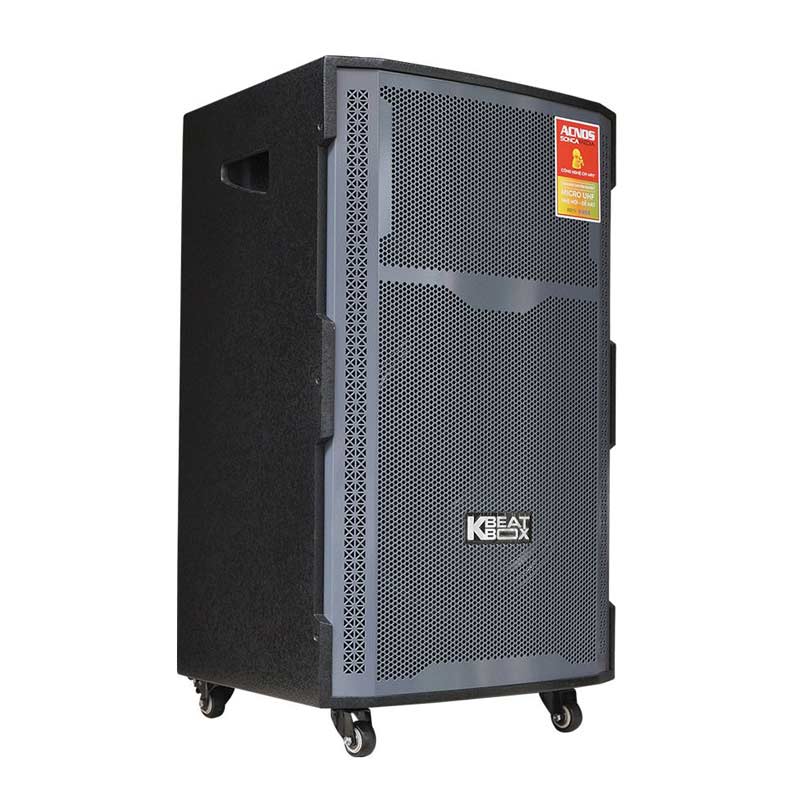 Loa Acnos CB421Plus-2