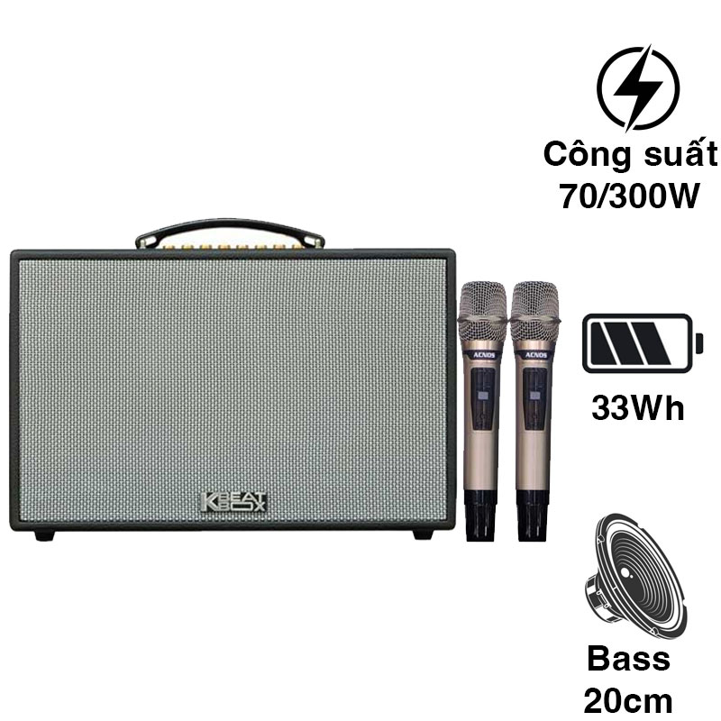 Loa Acnos CS261PU