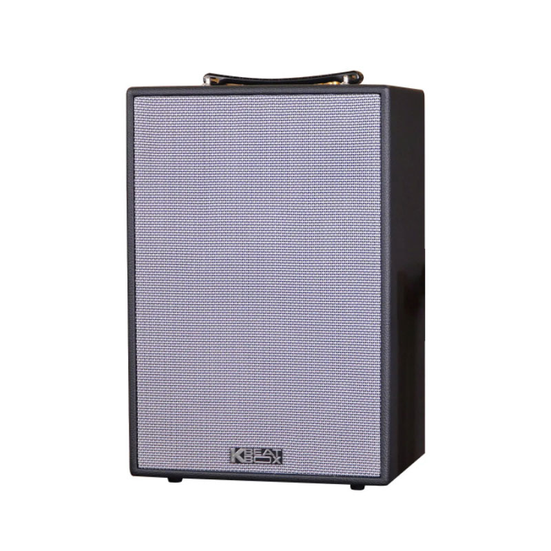 Loa Acnos CS286 Plus-3