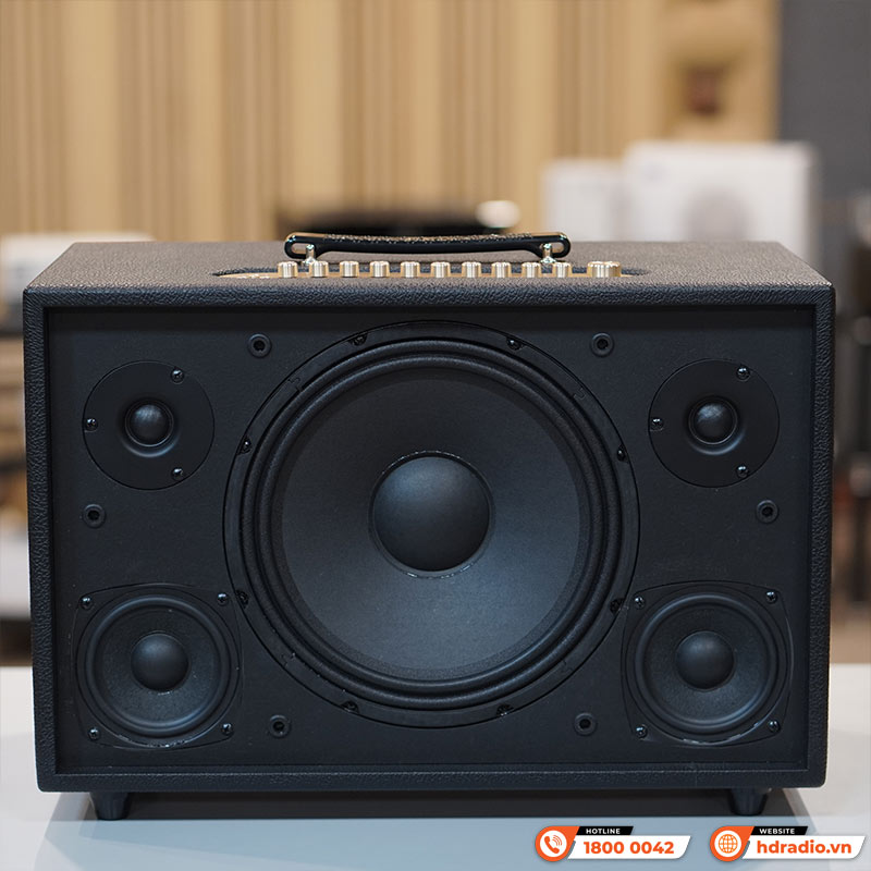 Loa Acnos CS3600 Gen 2, Bass 25cm, 200W, AUX, Optical, Kèm 2 Tay Mic-8