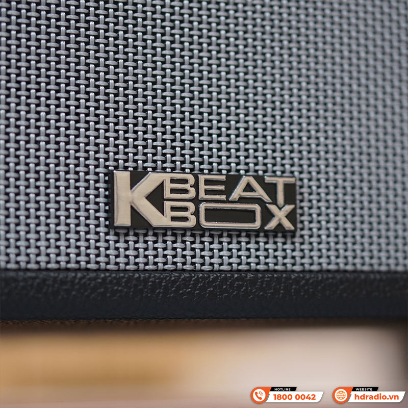 Loa Acnos CS3600 Gen 2, Bass 25cm, 200W, AUX, Optical, Kèm 2 Tay Mic-7