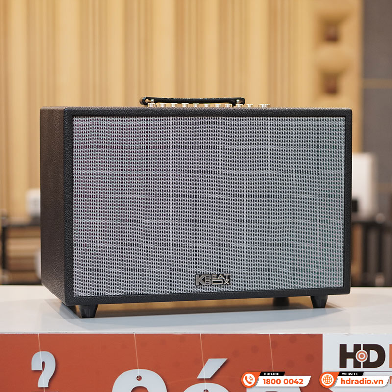 Loa Acnos CS3600 Gen 2, Bass 25cm, 200W, AUX, Optical, Kèm 2 Tay Mic-3