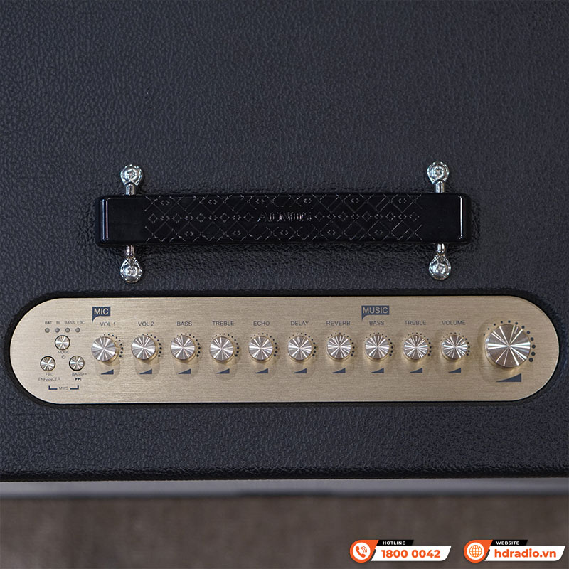 Loa Acnos CS3600 Gen 2, Bass 25cm, 200W, AUX, Optical, Kèm 2 Tay Mic-4