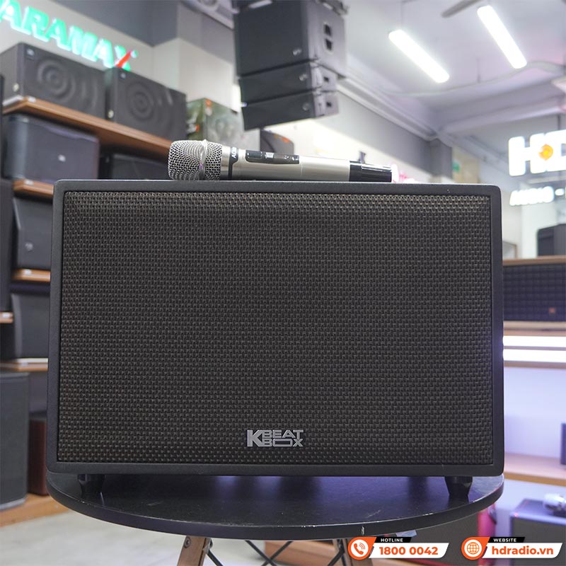 Loa Acnos CS3600Pro, Bass 25cm, 220W, AUX, Optical, Kèm 2 Tay Mic-2