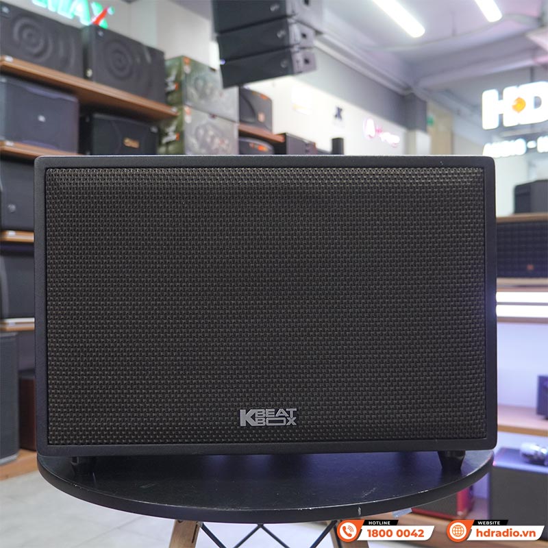 Loa Acnos CS3600Pro, Bass 25cm, 220W, AUX, Optical, Kèm 2 Tay Mic-4