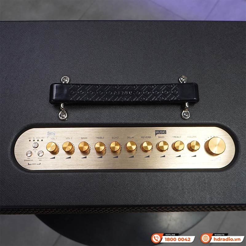 Loa Acnos CS3600Pro, Bass 25cm, 220W, AUX, Optical, Kèm 2 Tay Mic-10