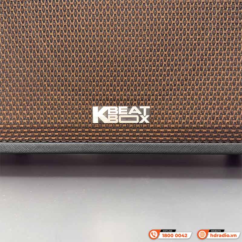 Loa Acnos CS3800 Pro (NEW 2025) Bass 25cm, Công suất 220W RMS, Bluetooth,Pin 4h-8h, Kèm 2 Tay Mic-4