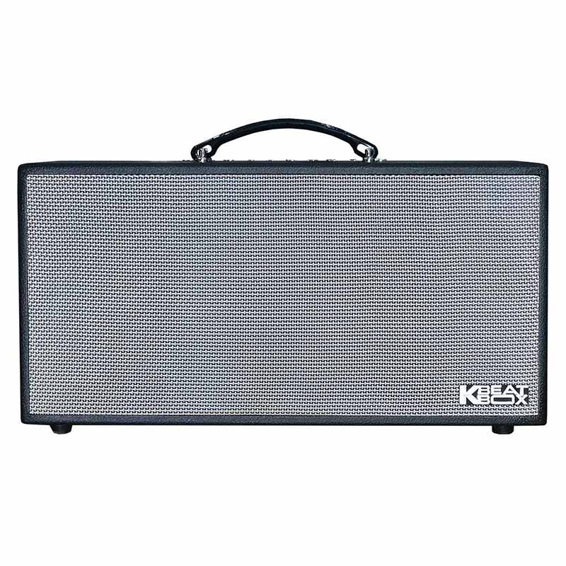 Loa Acnos CS446 Pro, Bass 16.5cm x 2, Công suất 150W RMS, Bluetooth 5.0, Mic Wireless Stereo, Kèm 2 MIC-1