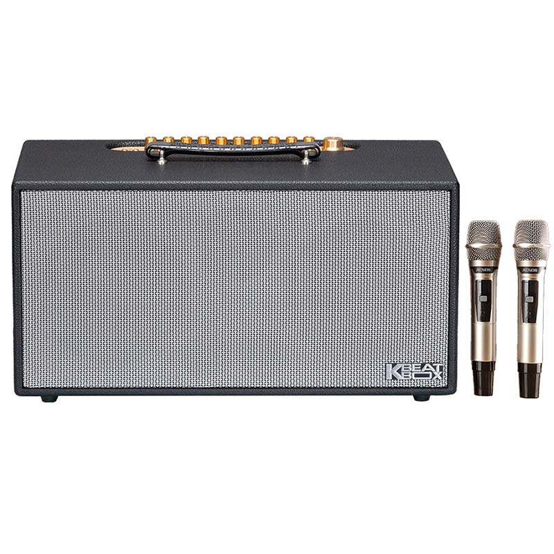 Loa Acnos CS450 Pro, Bass 16.5cm x2, Công suất 150W RMS, Mic Wireless Stereo, Bluetooth 5.0, Kèm 2 MIC