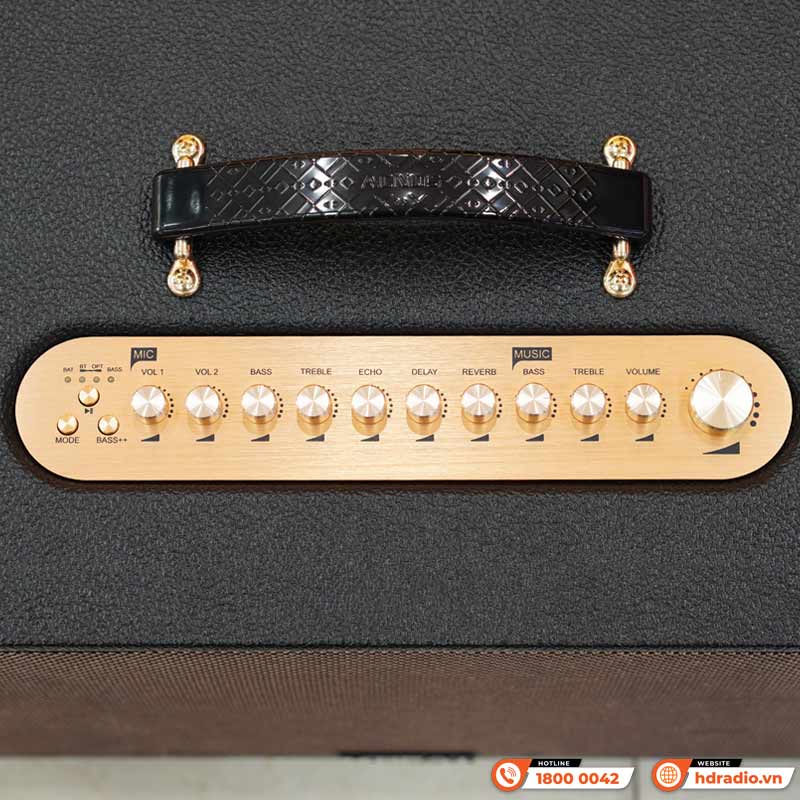 Loa Acnos Harmony, Bass 25cm, Có Quai Xách, Công suất 220W, Pin 10H có thể tháo rời, DSP mới, Bluetooth 5.0, 2 Mic UHF, Màu Đẹp-8