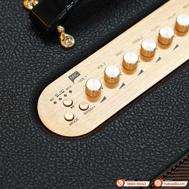 Loa Acnos Harmony, Bass 25cm, Có Quai Xách, Công suất 220W, Pin 10H có thể tháo rời, DSP mới, Bluetooth 5.0, 2 Mic UHF, Màu Đẹp-9