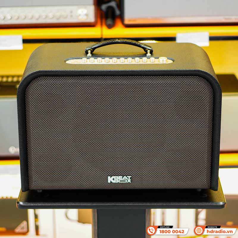 Loa Acnos Harmony, Bass 25cm, Có Quai Xách, Công suất 220W, Pin 10H có thể tháo rời, DSP mới, Bluetooth 5.0, 2 Mic UHF, Màu Đẹp-2