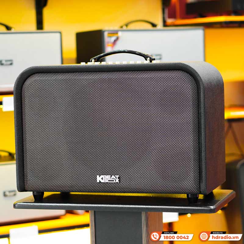 Loa Acnos Harmony, Bass 25cm, Có Quai Xách, Công suất 220W, Pin 10H có thể tháo rời, DSP mới, Bluetooth 5.0, 2 Mic UHF, Màu Đẹp-3