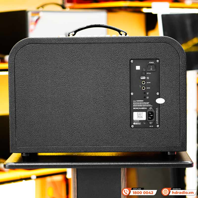 Loa Acnos Harmony, Bass 25cm, Có Quai Xách, Công suất 220W, Pin 10H có thể tháo rời, DSP mới, Bluetooth 5.0, 2 Mic UHF, Màu Đẹp-6