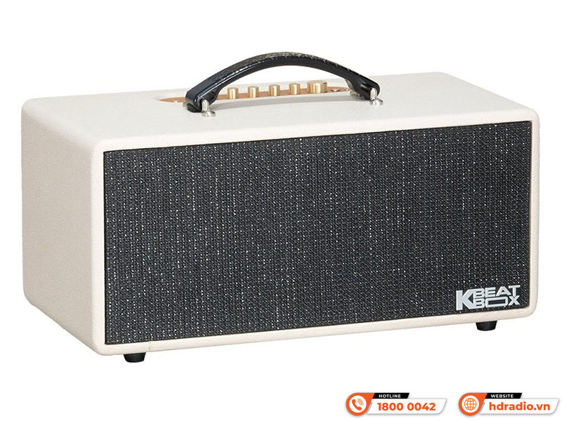 Loa Acnos KS369 Plus