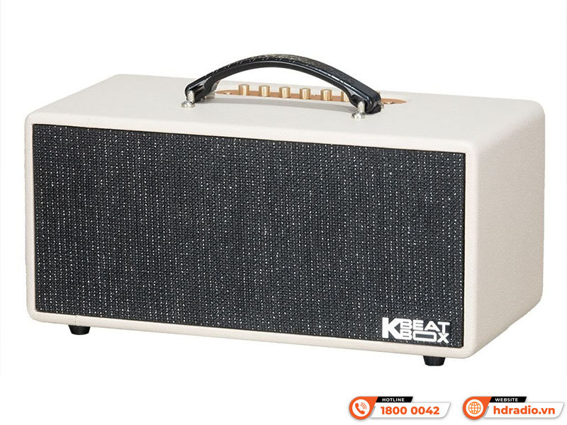 Loa Acnos KS369 Plus