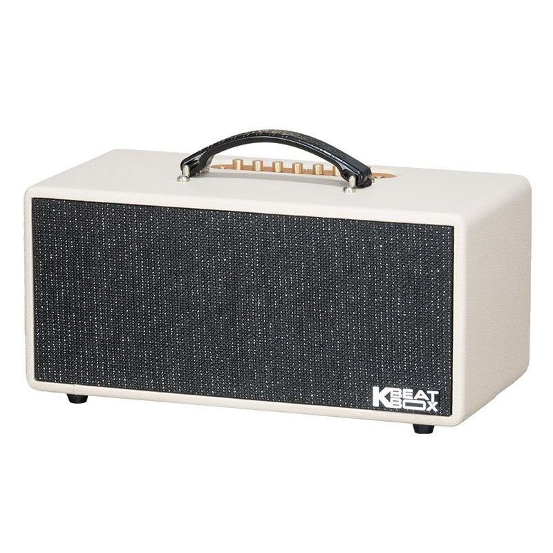 Loa Acnos KS369 Plus, Bass 14cm x 2, Công suất 150W, Bluetooth 5.0, USB OTG LIVE, OPTICAL, Kèm 2 Mic-3