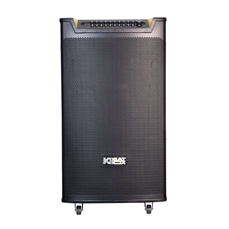 Loa Acnos TOP 430, Bass 40cm, Công Suất 300W, Bluetooth, 2 Tay Micro-2