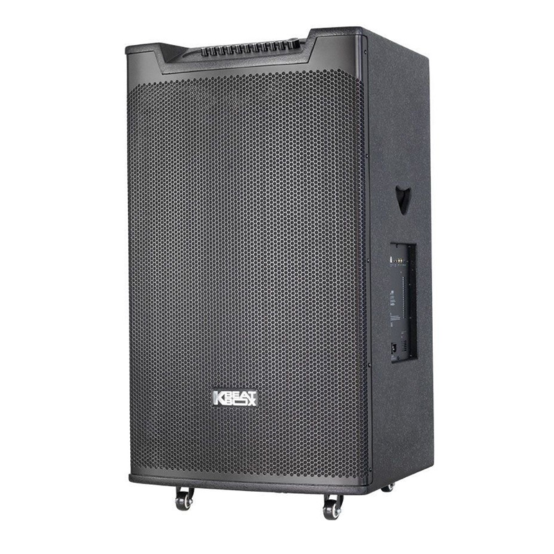 Loa Acnos Top 530, Bass 50cm, Công Suất 300W, Bluetooth, 2 Tay Micro-4