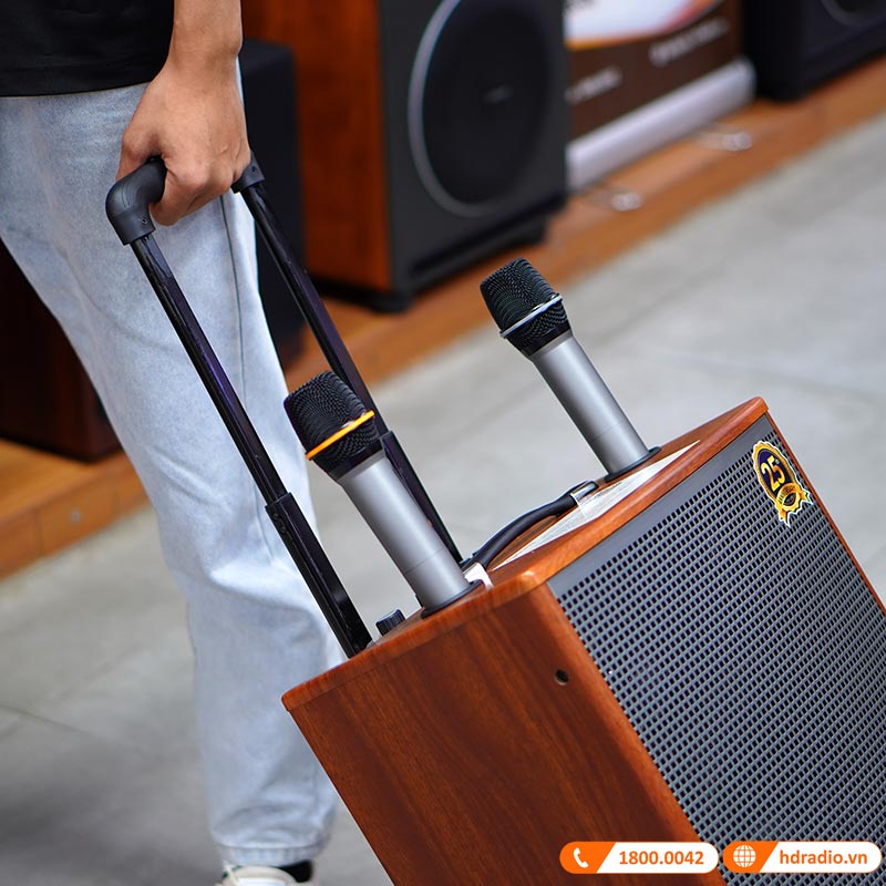 Loa Arirang MKS2, Bass 30cm, Công suất 80W, Bluetooth, AUX, USB, Thẻ Nhớ, Mic, Guitar, Kèm 2 micro-9
