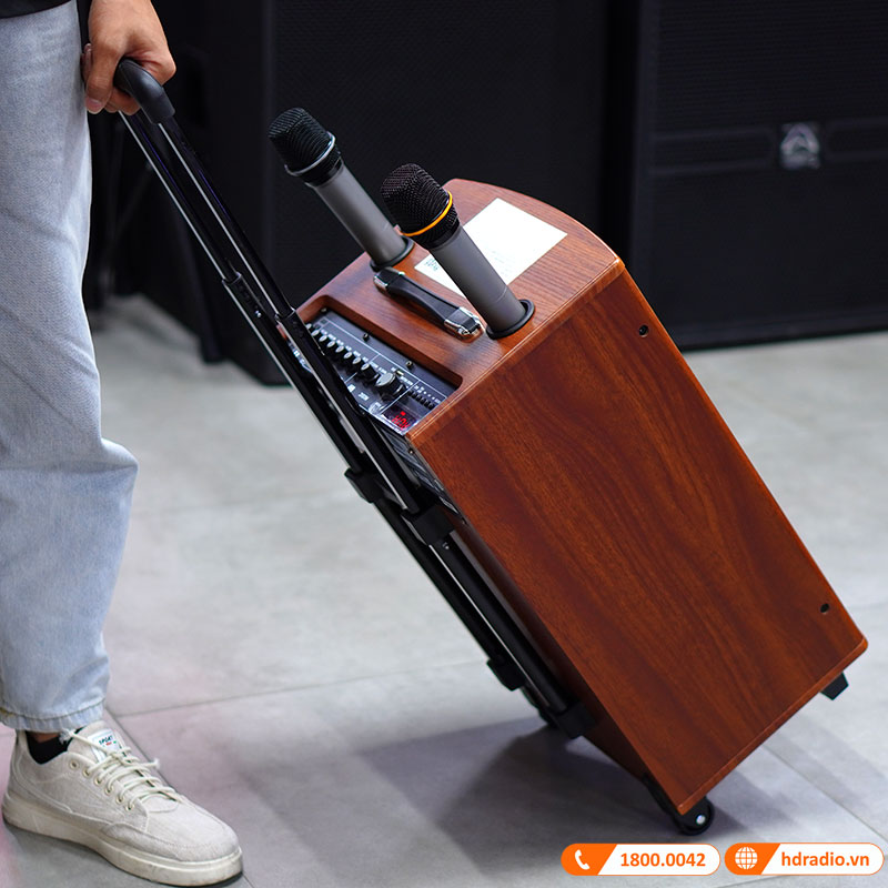 Loa Arirang MKS2, Bass 30cm, Công suất 80W, Bluetooth, AUX, USB, Thẻ Nhớ, Mic, Guitar, Kèm 2 micro-8