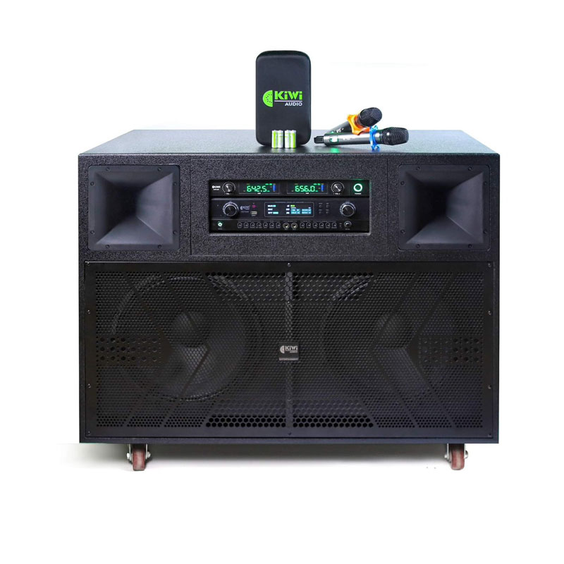 Loa Kiwi H315