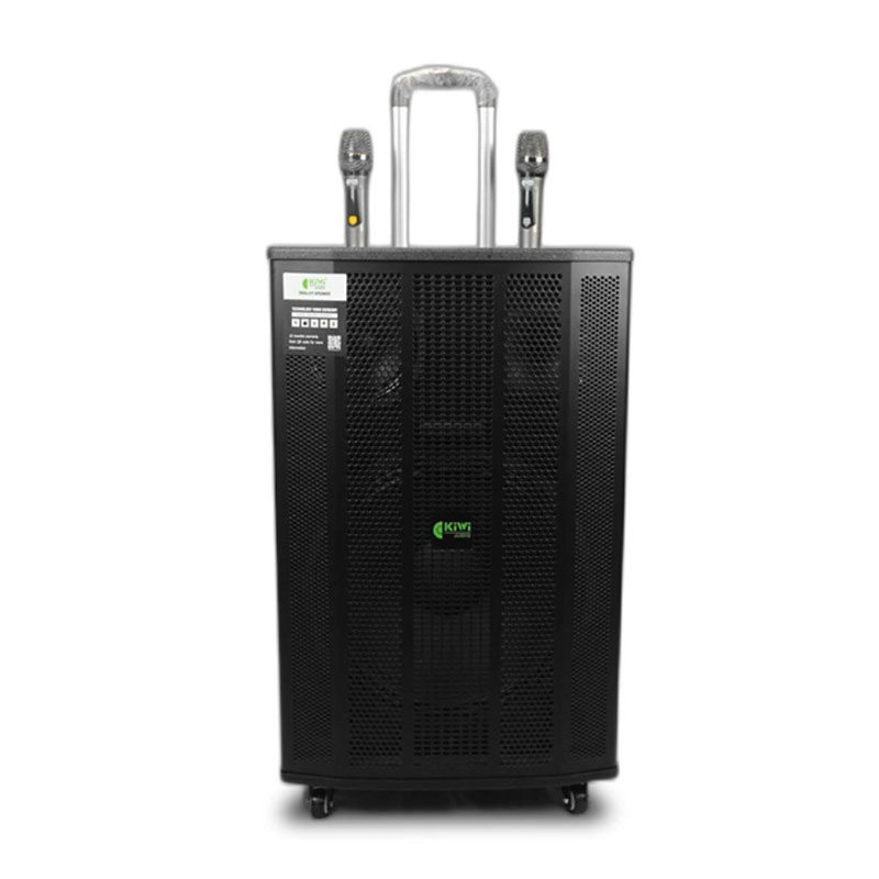 Loa Kiwi XT15, 800W, Bass 40cm, Kèm 2 Tay mic
